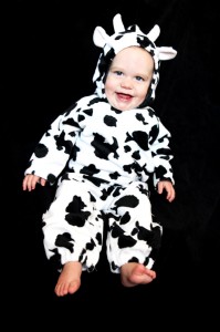 IMG 1031webedit 199x300 Cows Say Moo!